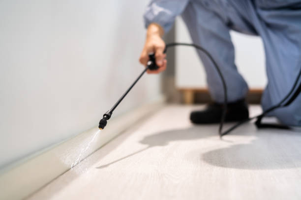 Pest Control Cost in Zeeland, MI
