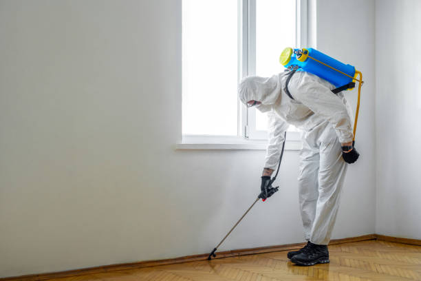 Best Flea Control Services  in Zeeland, MI