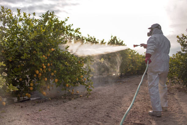 Best Cockroach Control Services  in Zeeland, MI