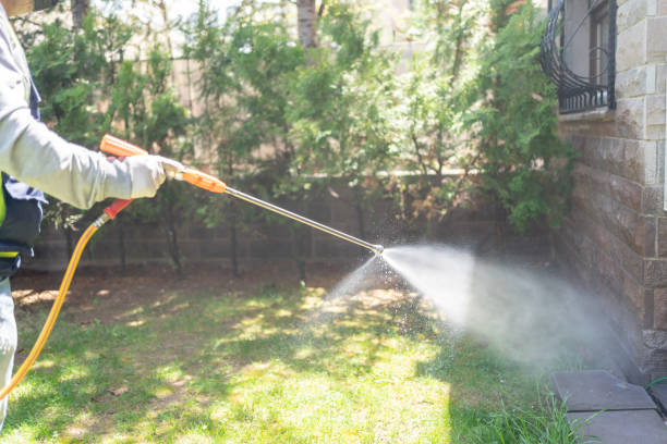 Best Spider Control Near Me  in Zeeland, MI