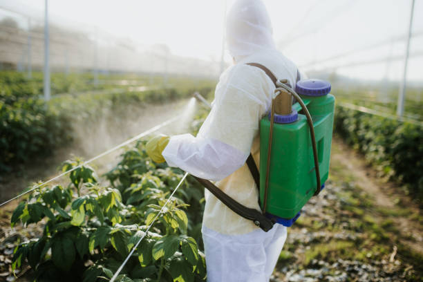 Best Bed Bug Extermination  in Zeeland, MI